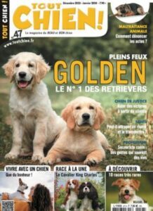 magazine tout chien couverture numéro 47