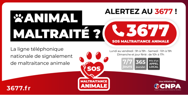 sos maltraitance animale association les chiens de justice